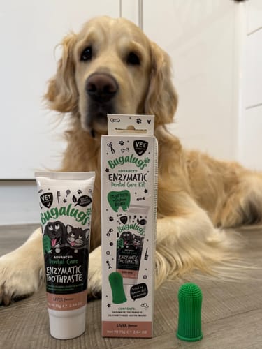 Customer photo review of Dental Care Kit (Enzymatic Toothpaste with Finger Toothbrush) for Dogs & Cats