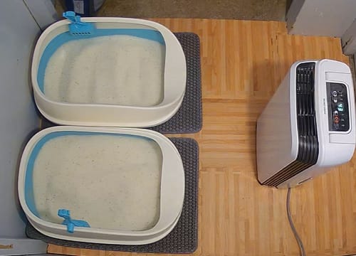 Customer photo review of Fit Litter