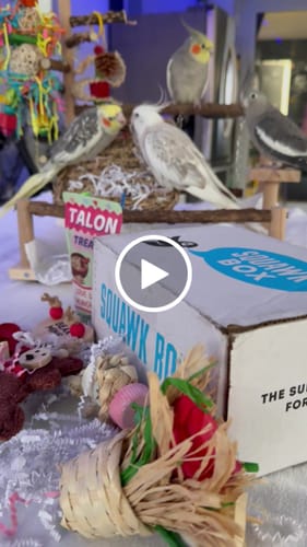 Customer video review of Birdie Bouquet