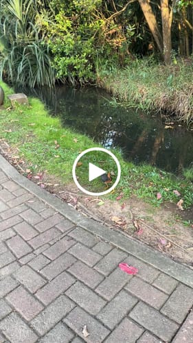 Customer video review of Dusun Signature Fruit Grazing Platter