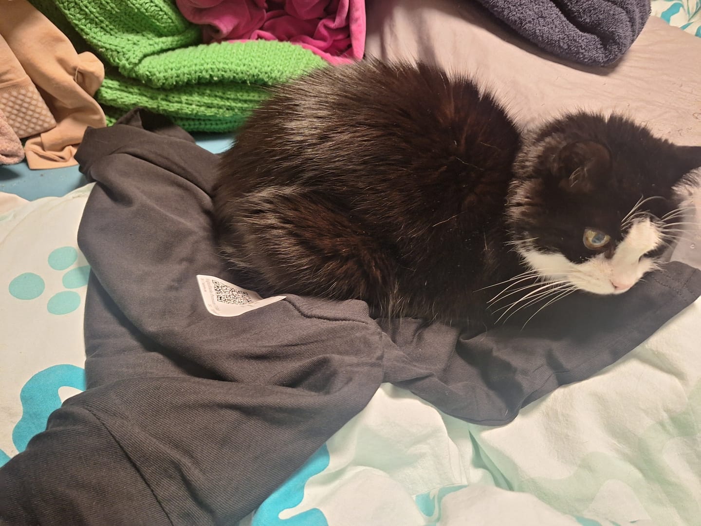Customer photo review of Hausbesitzer? - Premium T-Shirt Unisex