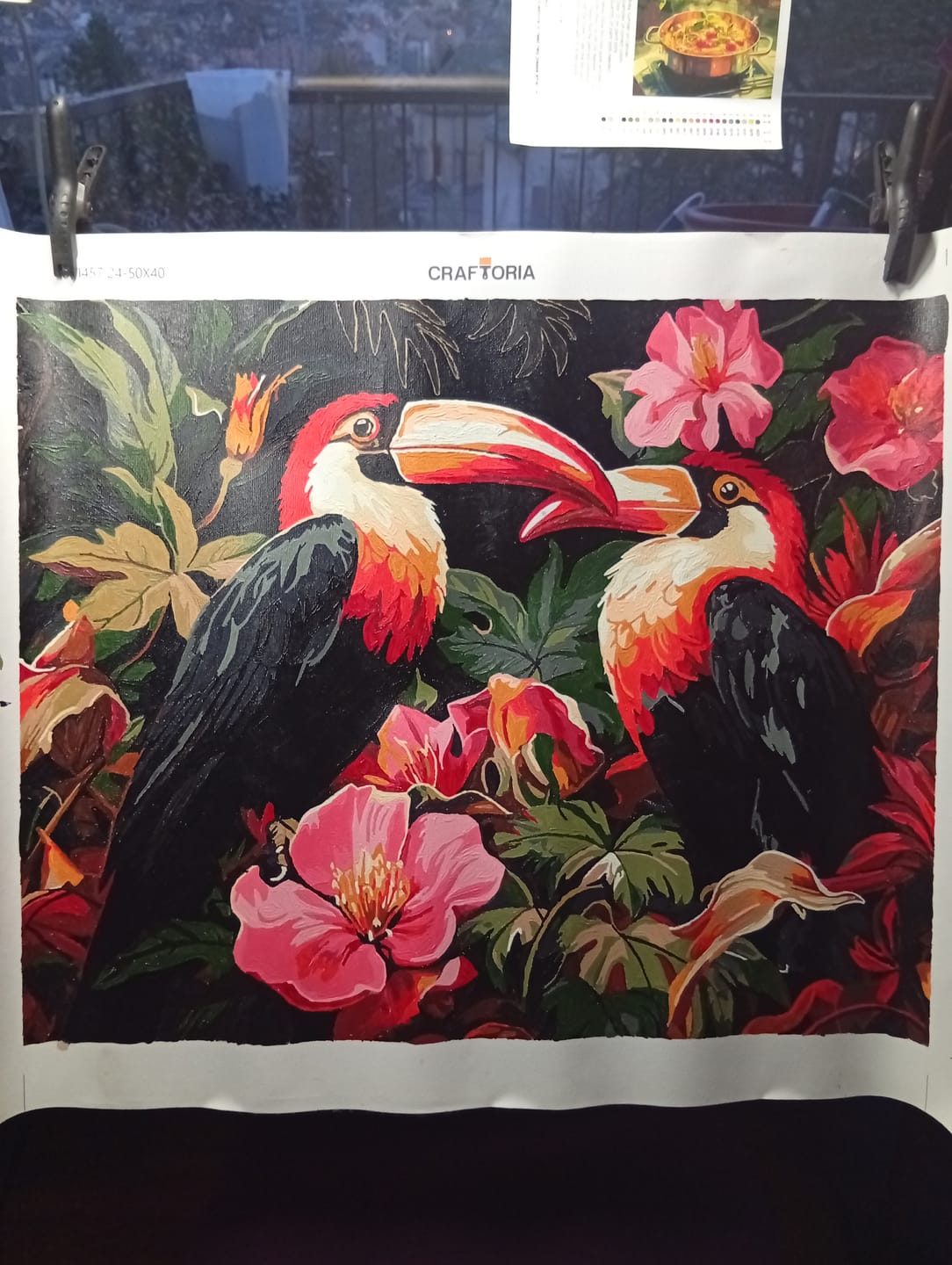 Customer photo review of Toucan Rhythm