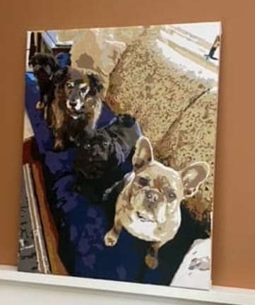 Customer photo review of Custom Pet Paint By Numbers