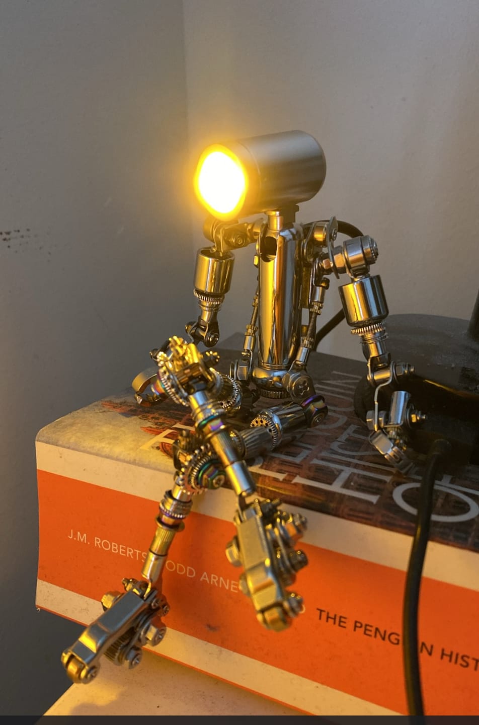 Customer photo review of Terminator M