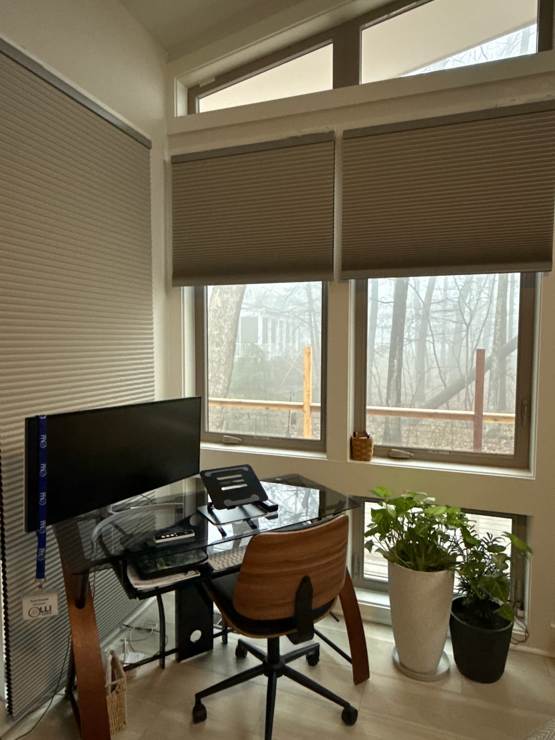 Customer photo review of SmartWings Motorized Blackout Cellular Shades Hazel
