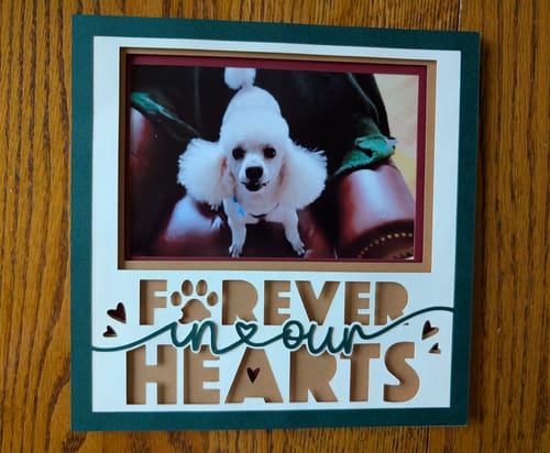 Customer photo review of Crafting Memories SVG Mega Bundle