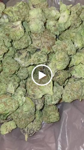 Customer video review of Shipping Protection by Route