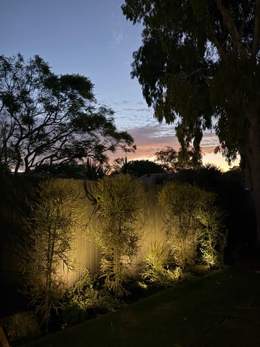 Customer photo review of GardenBrite™ Solar Spotlight Pack [PRESALE]