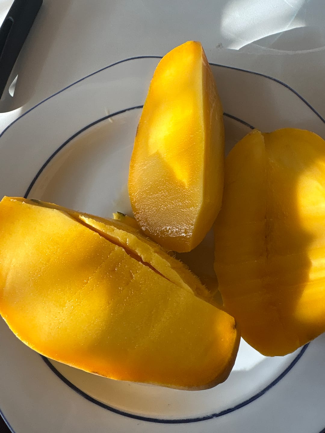 Customer photo review of Mango "Edward" Bio Flugware baumgereift
