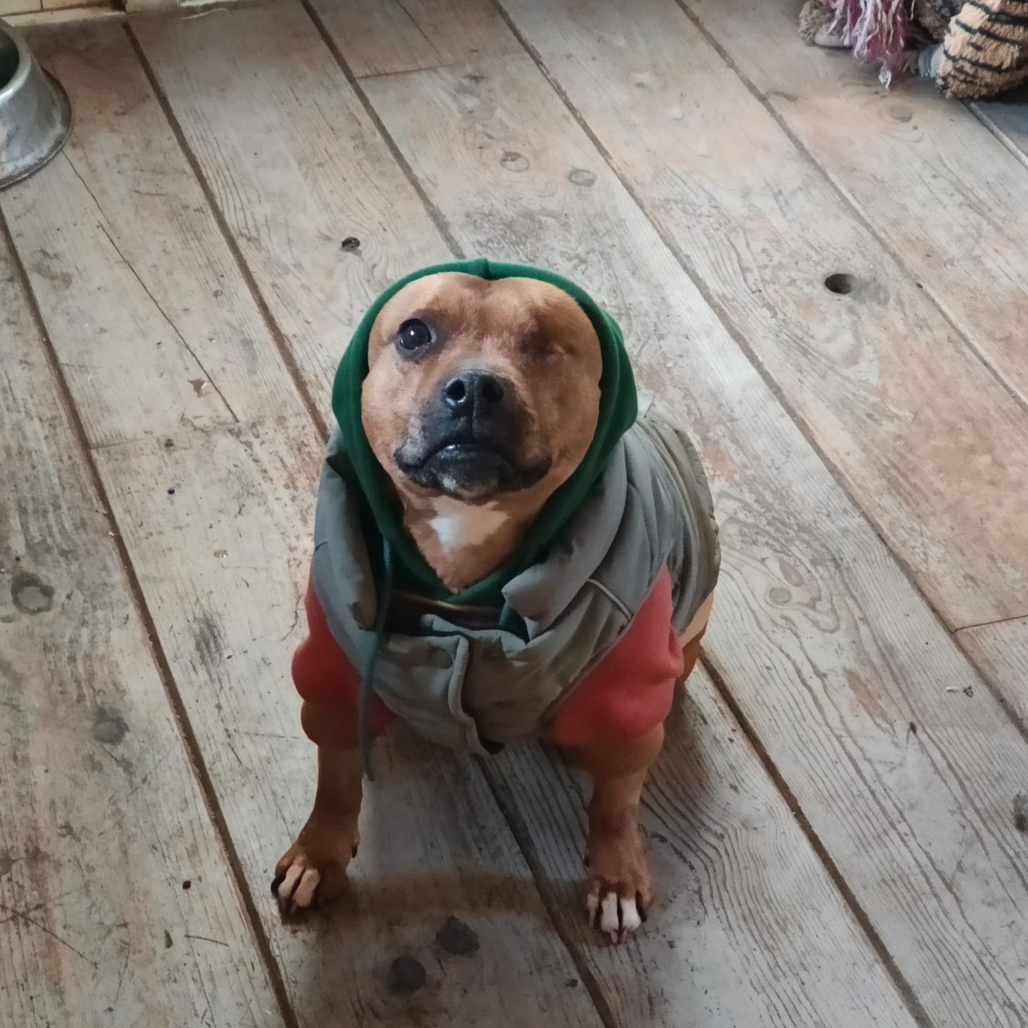 Customer photo review of WarmShield Water-Resistant Jacket - Olive