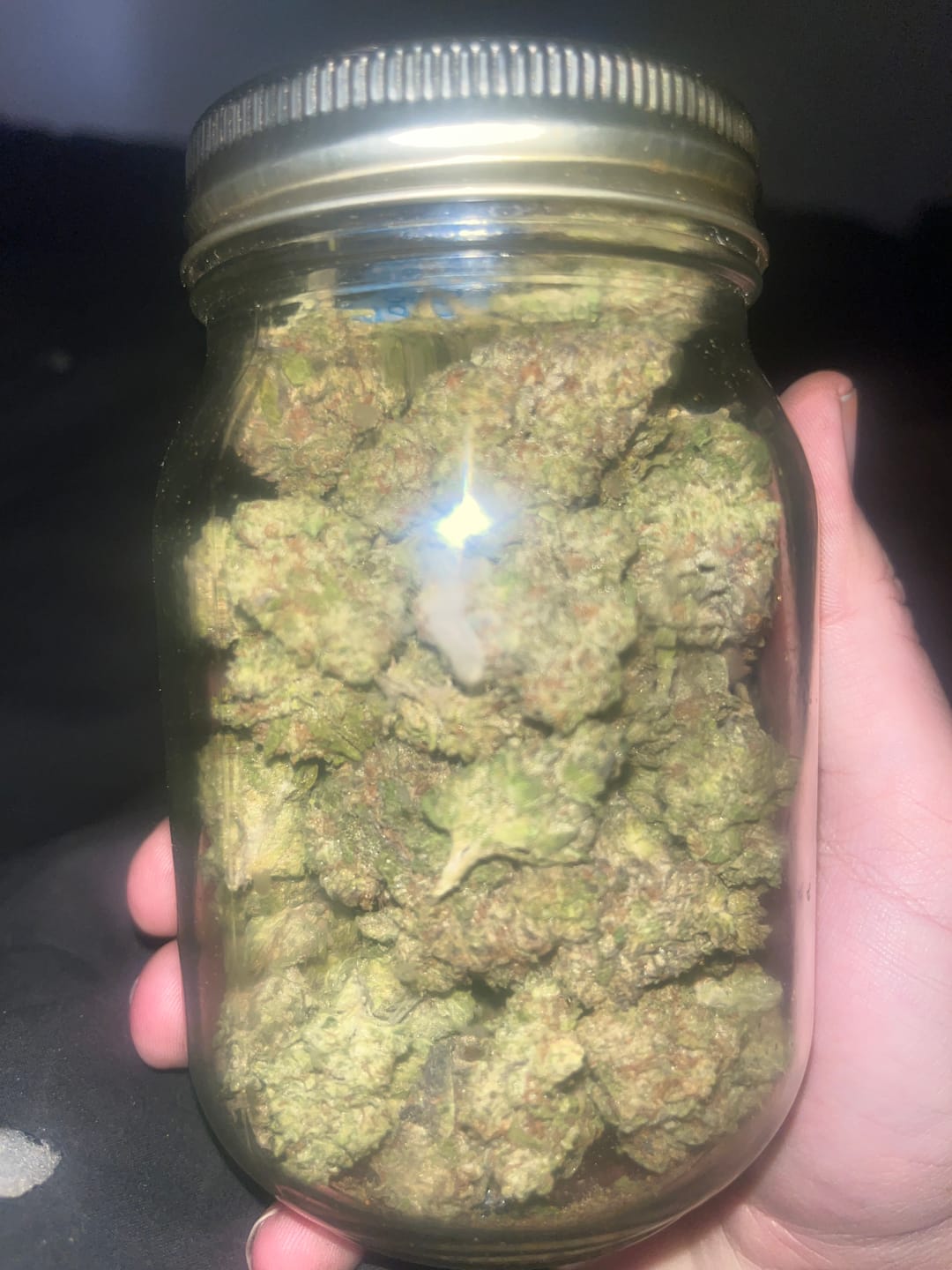 Customer photo review of Lemon Haze Indoor THCA Trim