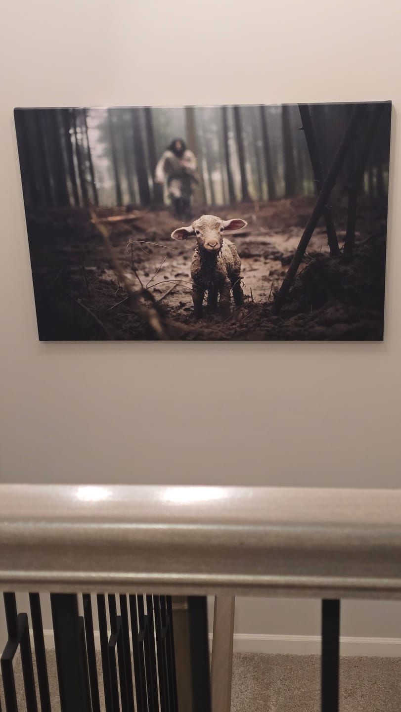 Customer photo review of Jesus Running After a Lost Lamb, Jesus and Lamb Picture, Wall Art Canvas