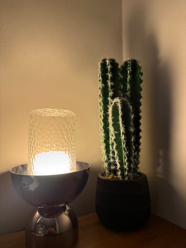Customer photo review of Retol Greenery Pot