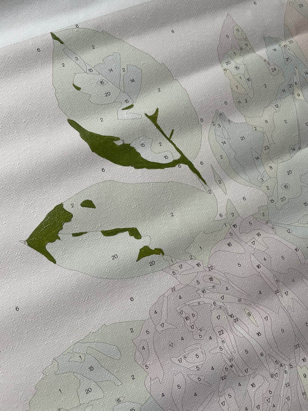 Customer photo review of Wild Roses | Paint by Number