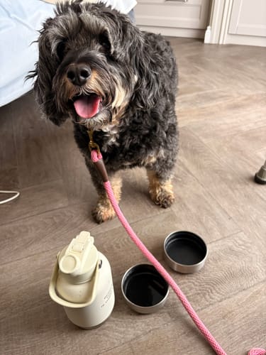 Customer photo review of The Bowl Bottle 2.0 | 3-in-1 Travel Bottle