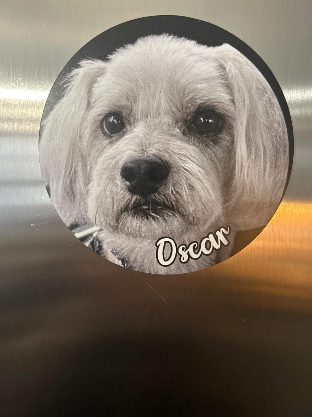 Customer photo review of Your photo - Personalized Car Magnet