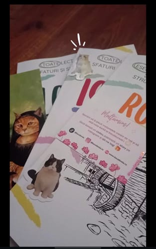 Recenzie cu fotografie de la un client despre Pachet Bacalaureat (Română + Istorie + Logică) Bacademia