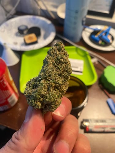Customer photo review of Lemon Cherry Sherb THCA Flower
