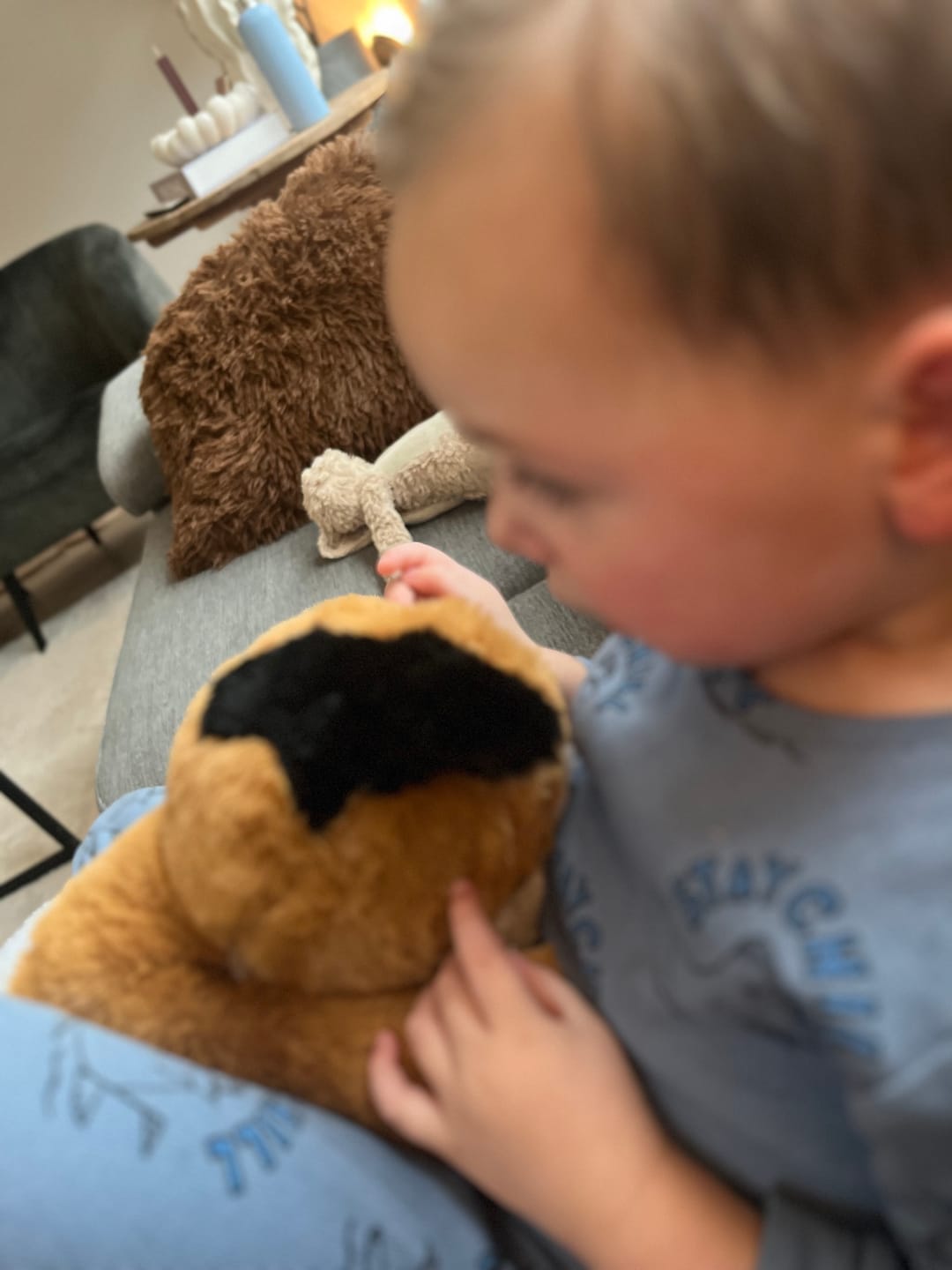 Customer photo review of Verzwaringsknuffel Kat 2,2 kg + Gratis Pittenzakje