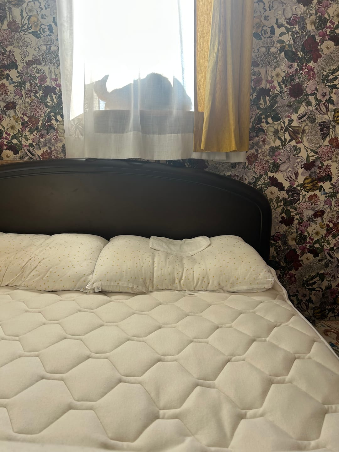 Customer photo review of SLEEP HEXAGON　ホルミシス敷パッド