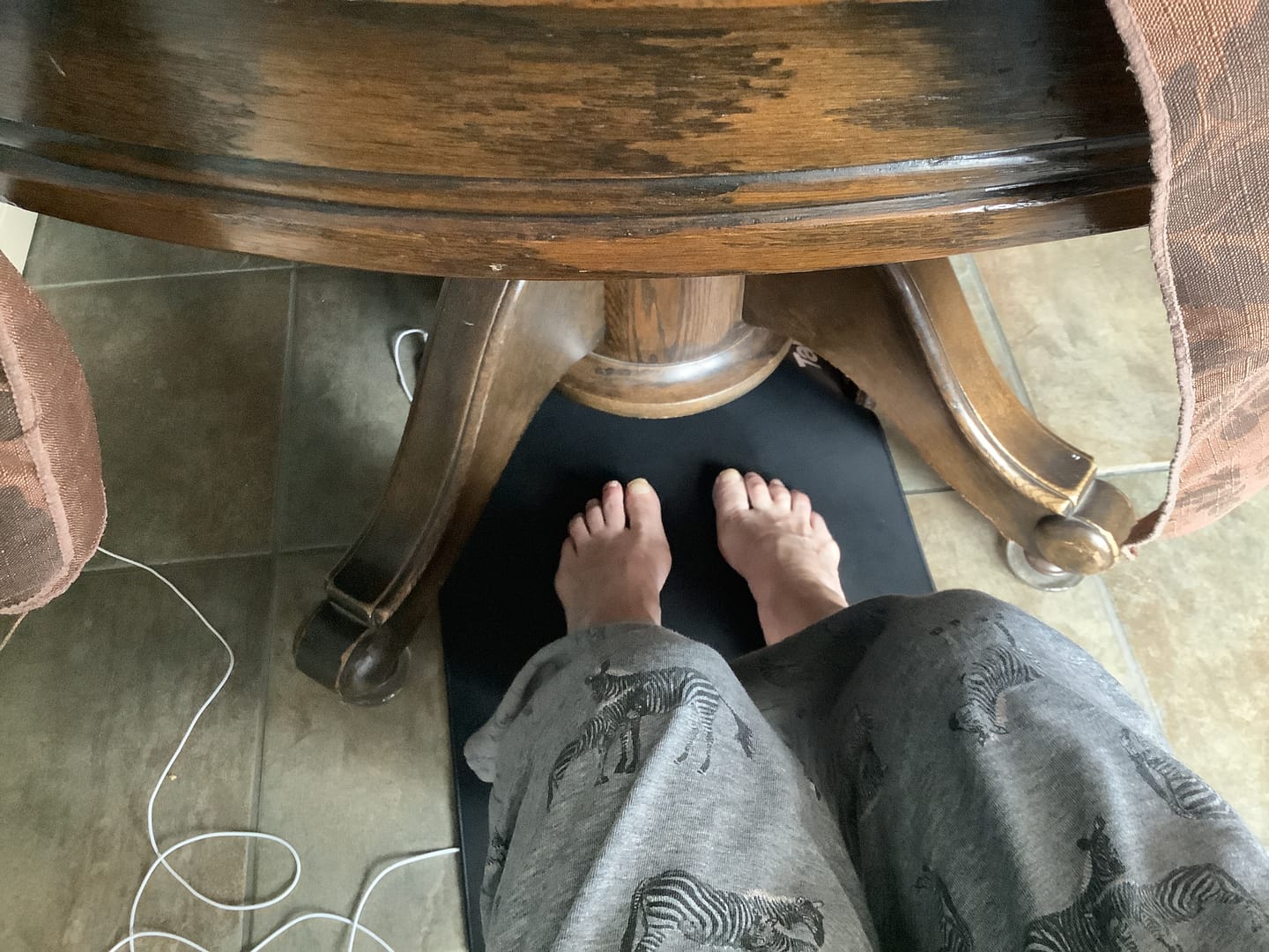 Customer photo review of Grounding Mat