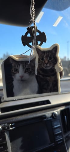 Customer's Custom Air Freshener with a photo of two cats hanging from a car's rearview mirror.