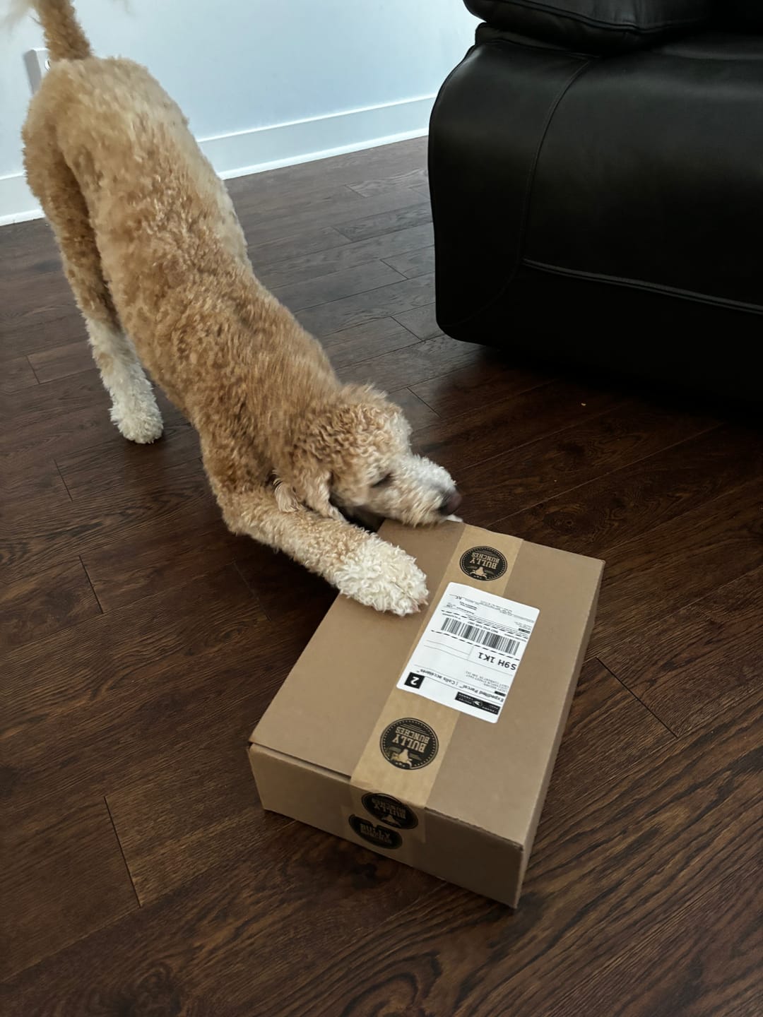 Customer photo review of Himalayan Yak Chew (EXTRA LARGE)