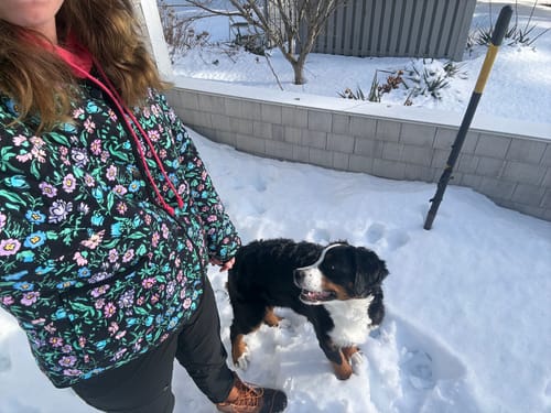 Customer photo review of QUINN Midnight Bloom Quilted Jacket