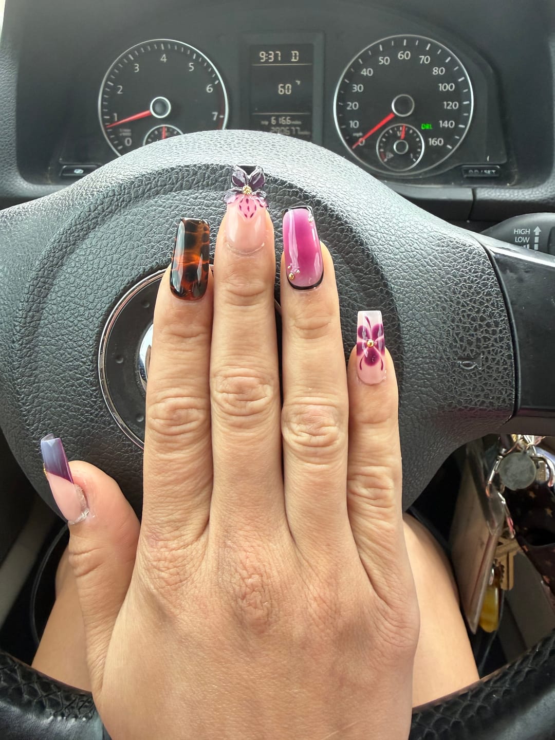 Customer photo review of Midnight Orchid