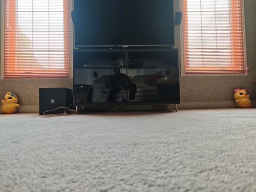 Customer photo review of Beastgrip x Kenko Pro Series 0.75X Wide Angle Lens