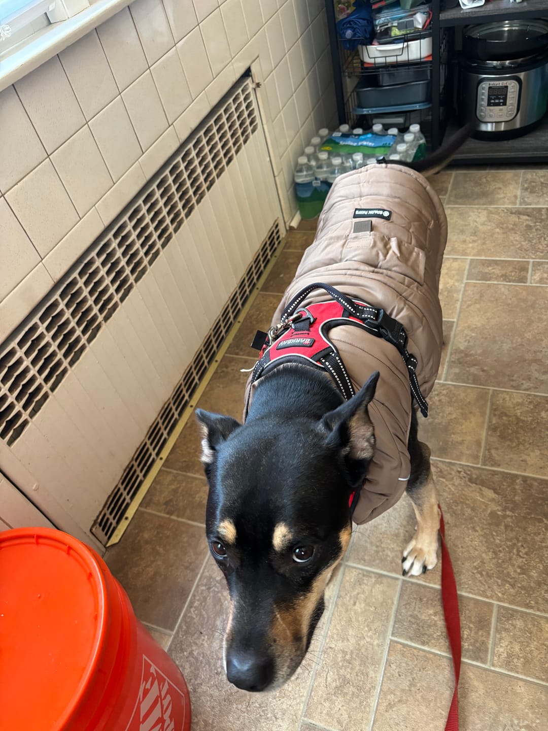 Customer photo review of WarmShield Water-Resistant Jacket - Tan