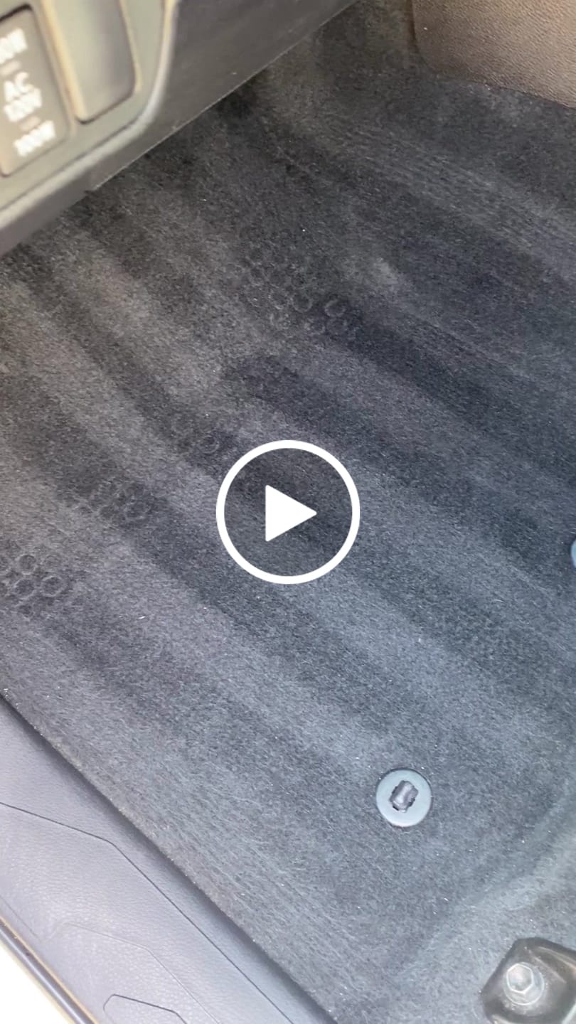 Customer video review of Pet Hair Remover and Carpet Striping Block