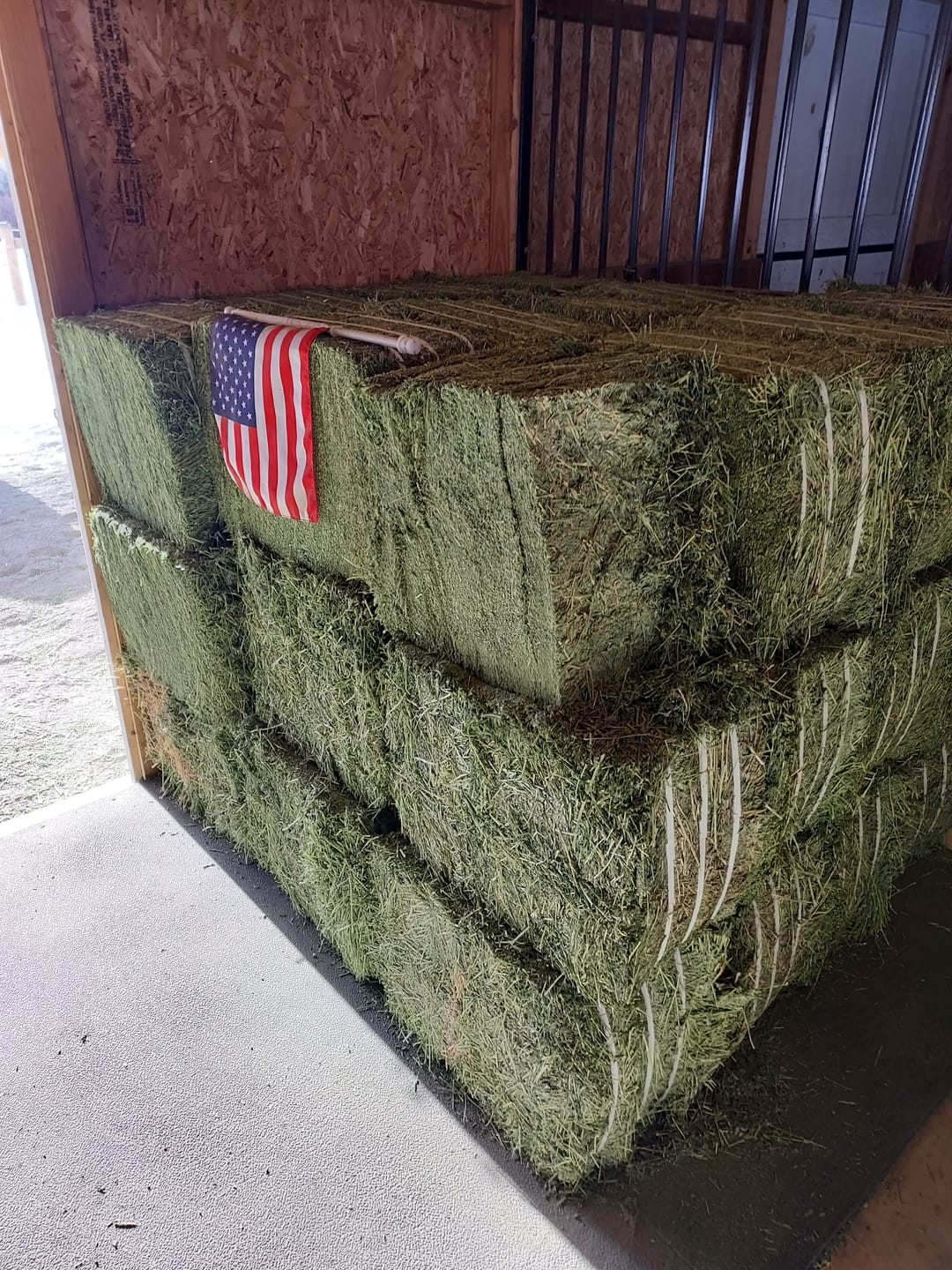 Customer photo review of Western Steamed Alfalfa (Click here for Qty Discount) - 18 Bale Bundle! Includes delivery and ground level stacking with our forklift too!