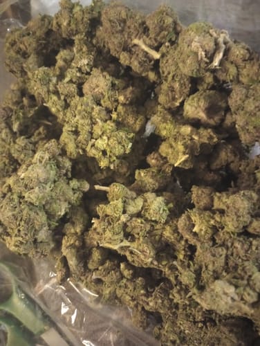 Customer photo review of Butterscotch OG - Bulk - Indica