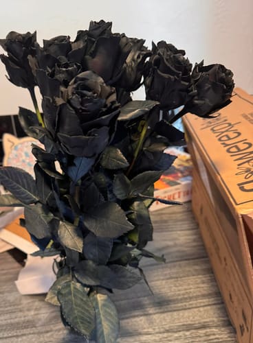 Customer photo review of Black Widow