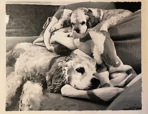 Customer photo review of Custom Pet Paint By Numbers