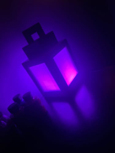 Customer photo review of Minecraft Surprise Gift