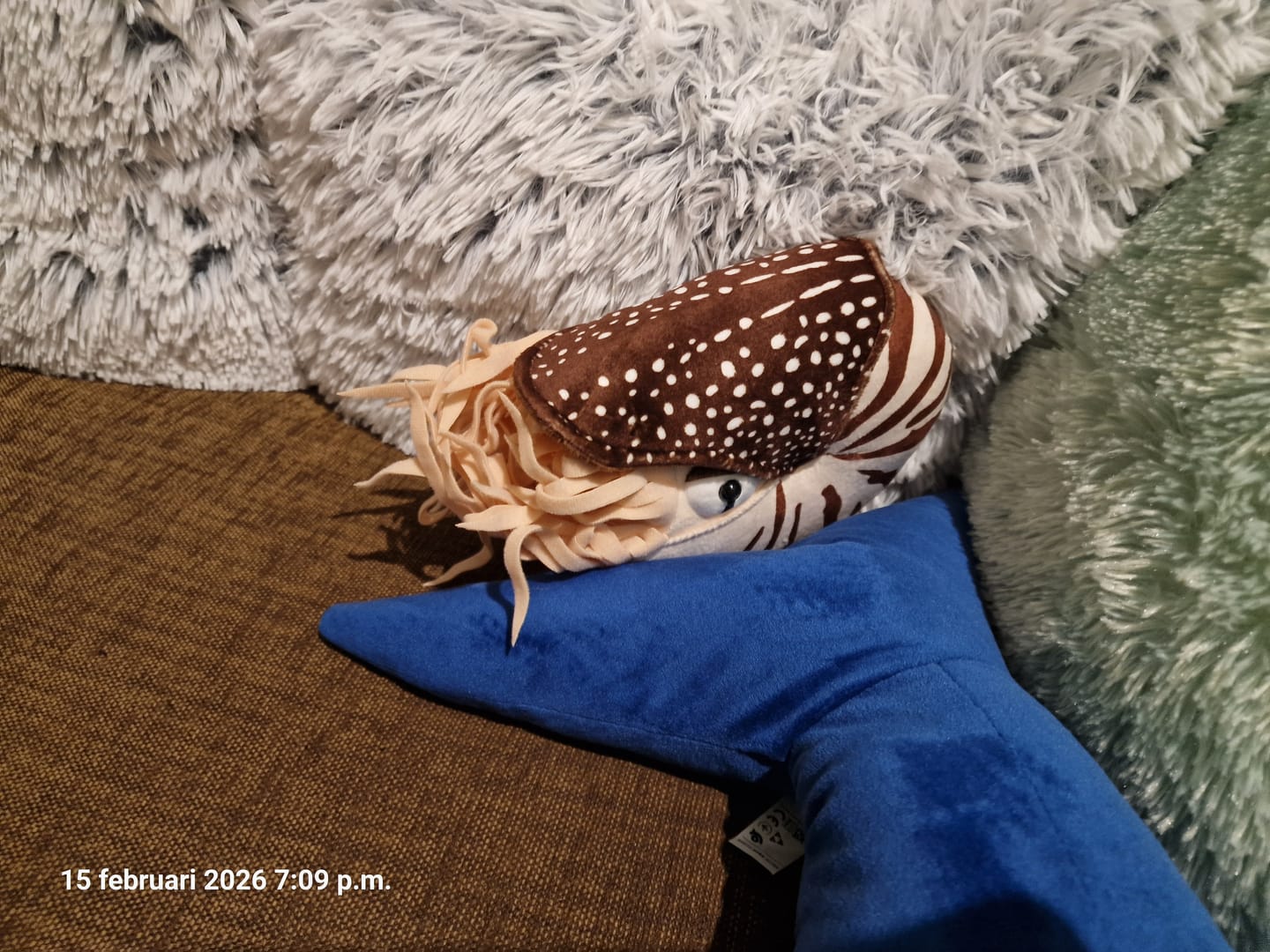 Customer photo review of Nautilus Soft Stuffed Plush Toy