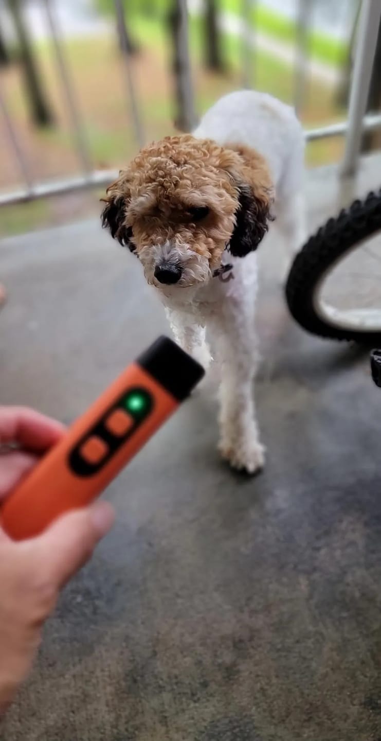 Customer photo review of SilentPaw Pro™ | Ultraschall Anti-Bell-Trainer für Hunde – Sanft & Effektiv