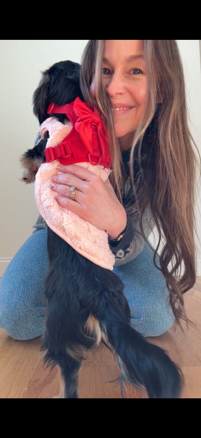 Customer photo review of Wander! Bow Harness Kit Blossom