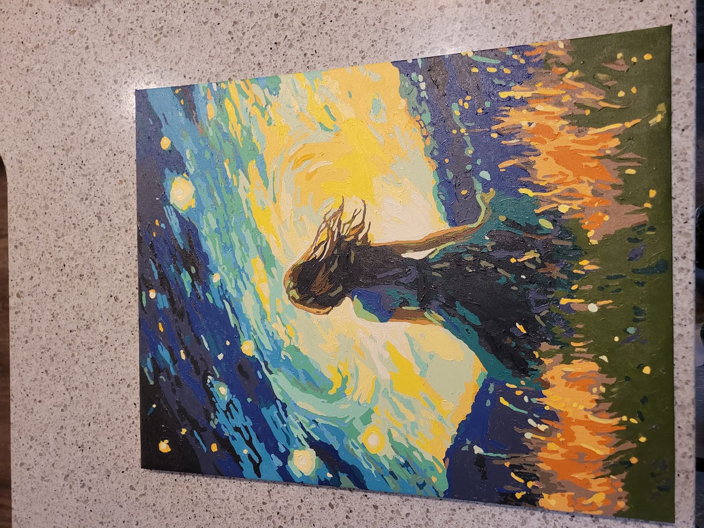 Customer photo review of Starlit Contemplation