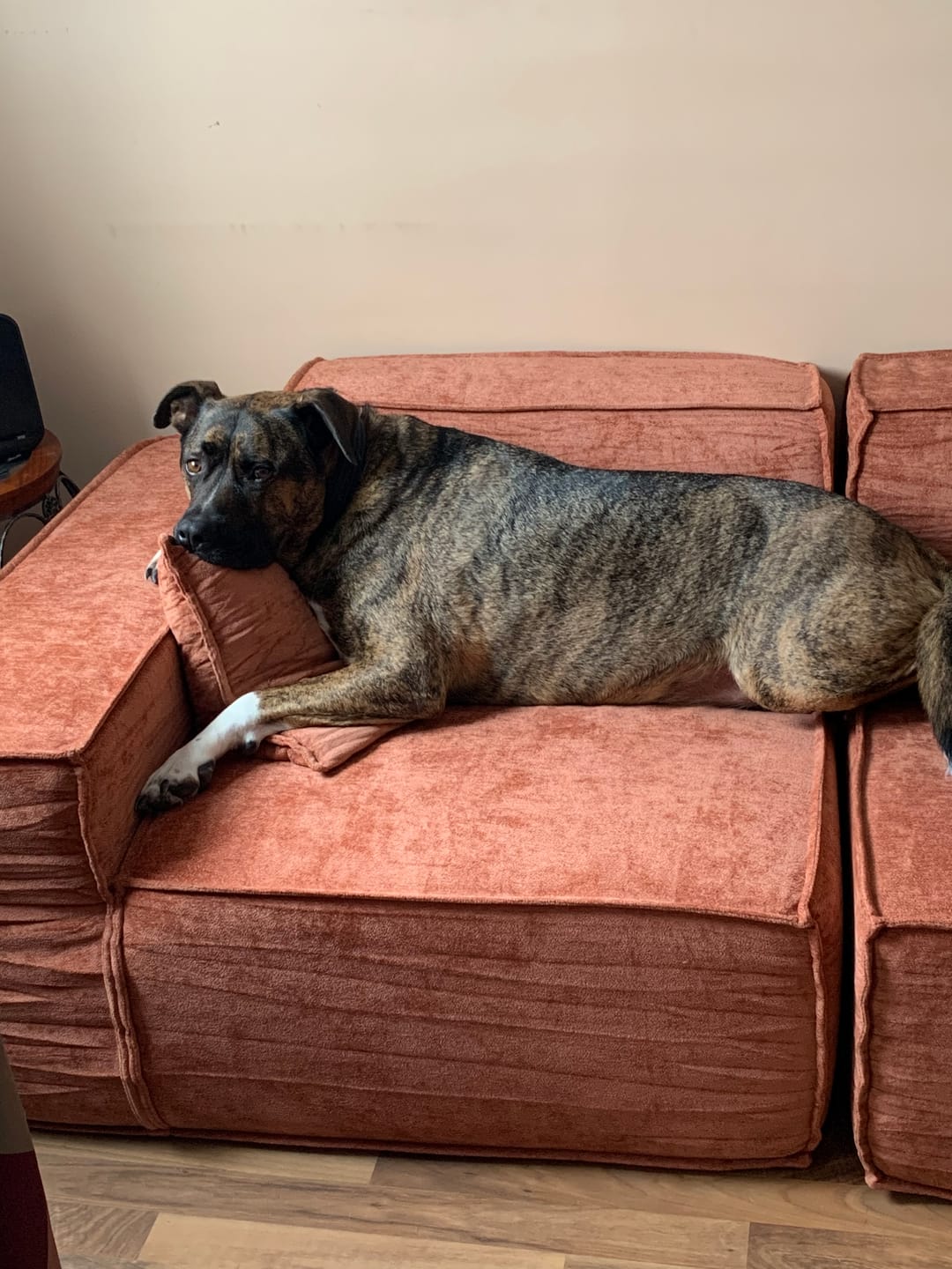 Customer photo review of M1 Sofa Three Seater