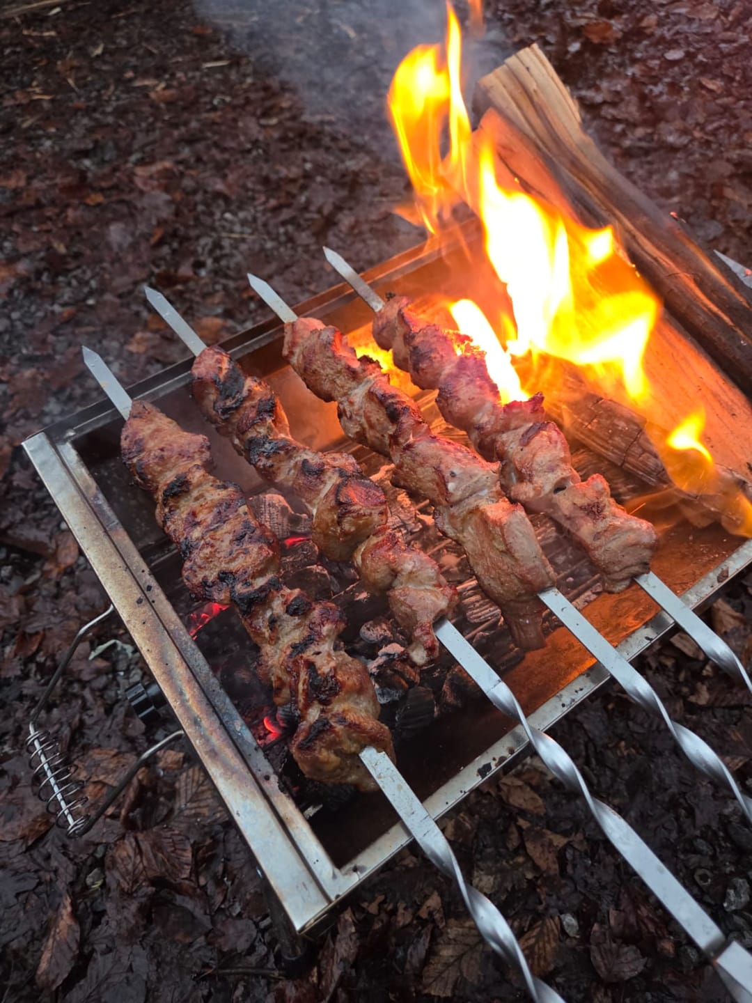 Customer photo review of Edelstahl Grillspiess 10er Set