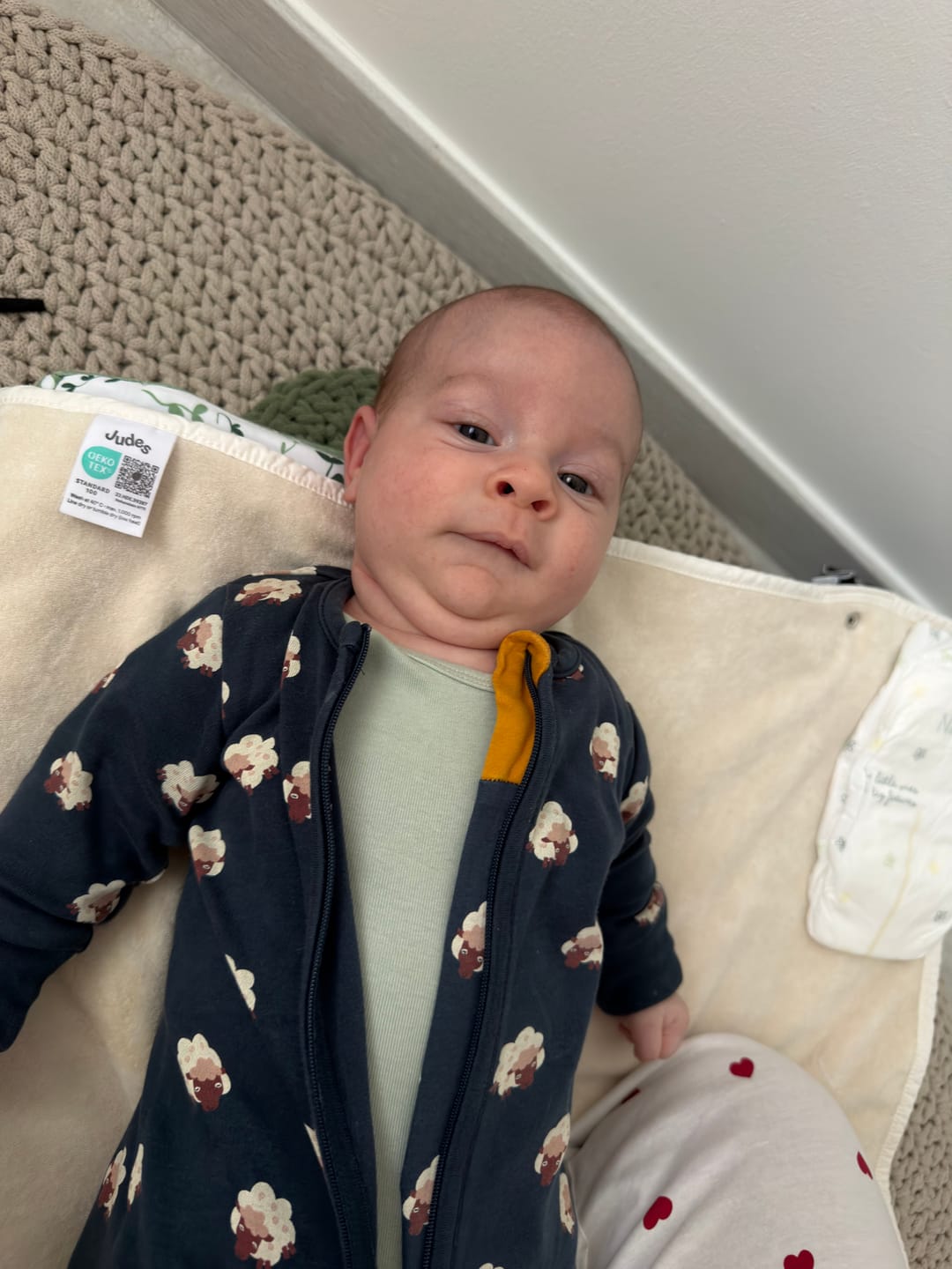 Customer photo review of Adventure Organic T-Shirt & Jogger Playset
