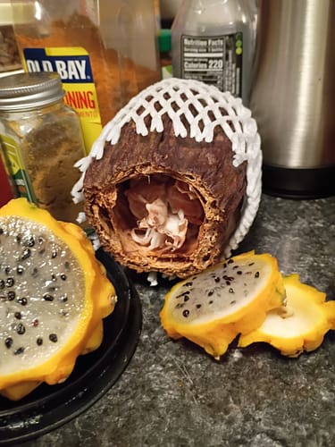 Customer photo review of Cacao Pod (Chocolate Fruit)