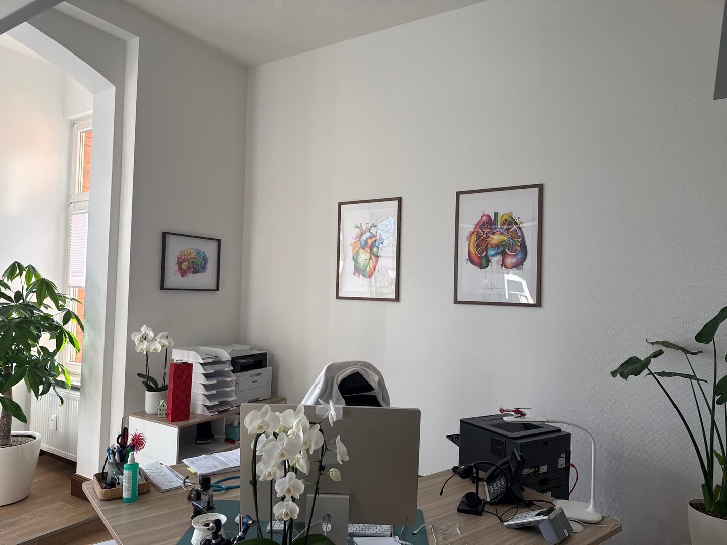 Customer photo review of Gehirn Anatomie - Rainbow