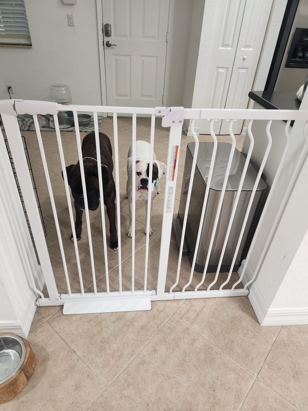 Customer photo review of FairyBaby 40" Extra Tall Auto Close Big Dog Gate