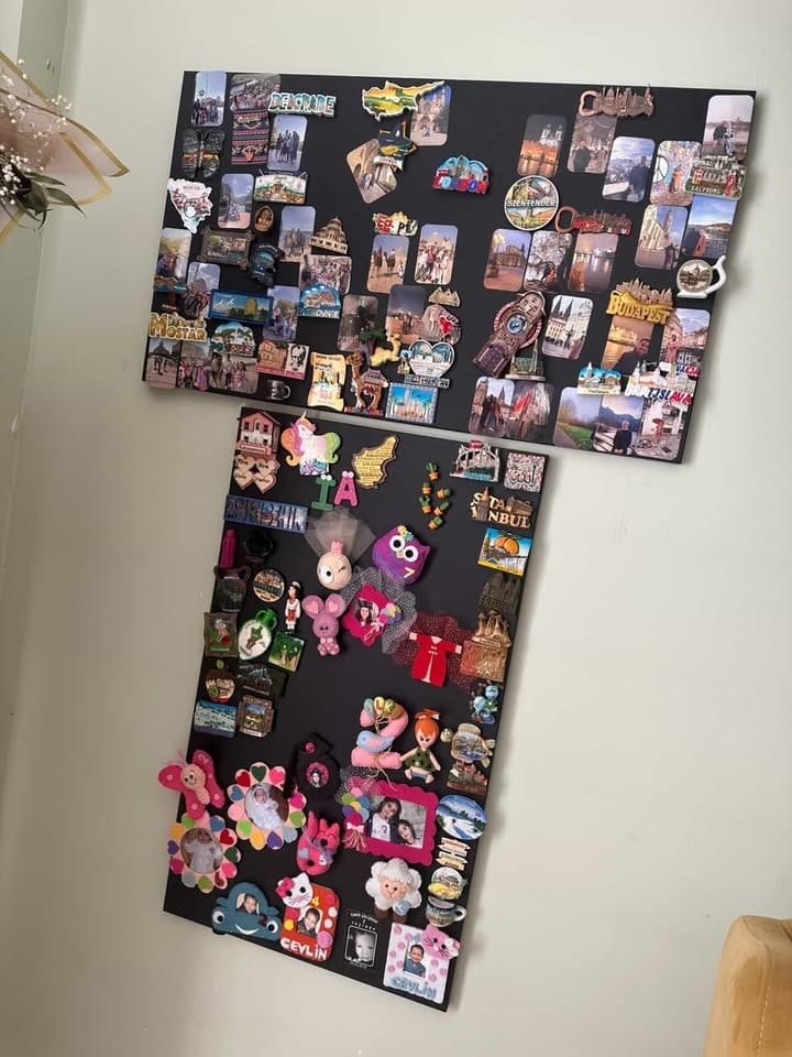 Customer photo review of Metal Magnet Panosu