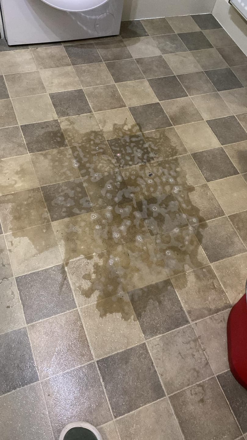 Customer photo review of Magic Floor Scrubbing Brush
