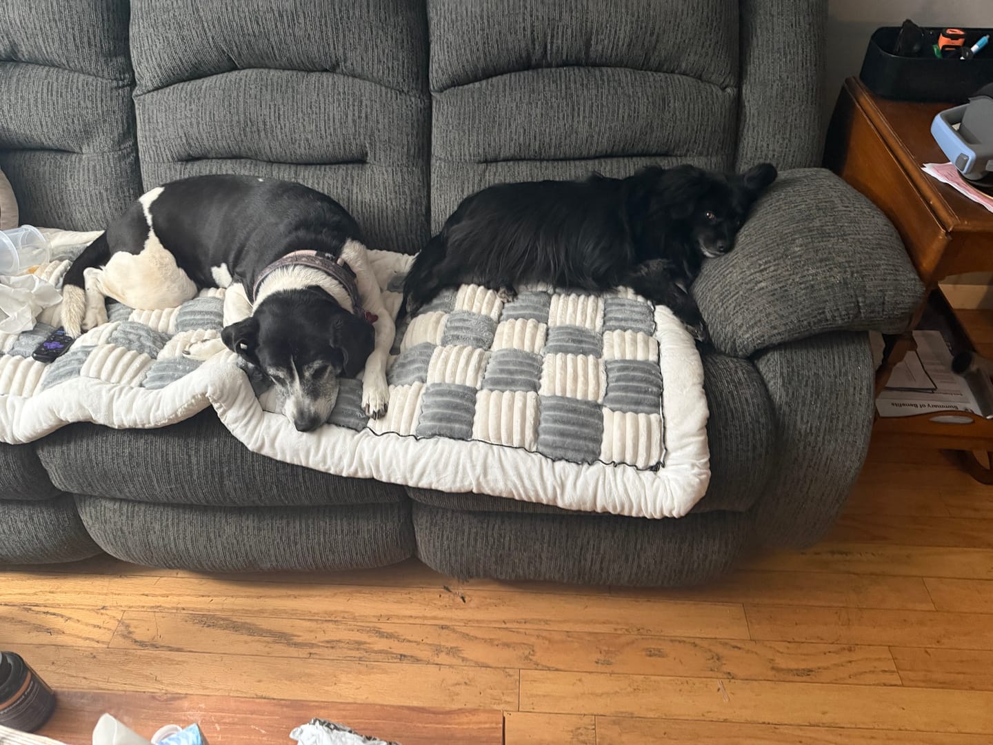 Customer photo review of NEW 2-in-1 Furniture Protector & Dog Bed Couch Cover with Thick Orthopedic Padding, Non-Slip Grip, Scratch-Resistant Surface & Machine-Washable Fabric